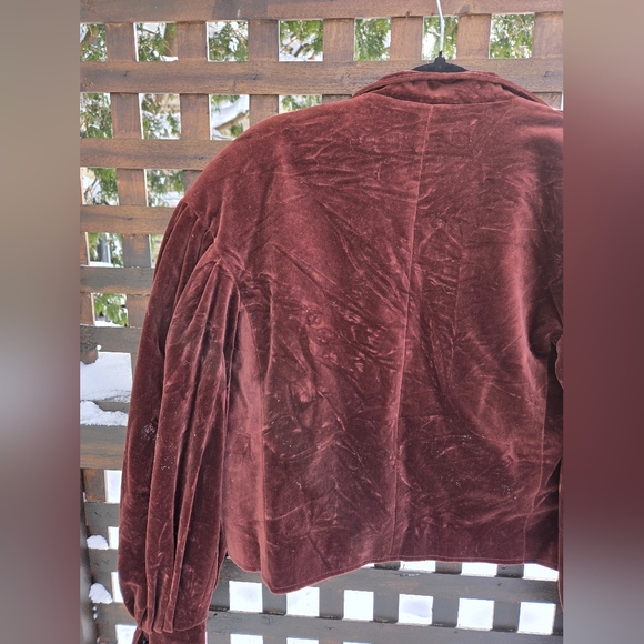 Vintage Velvet Blazer - Picture 11 of 11